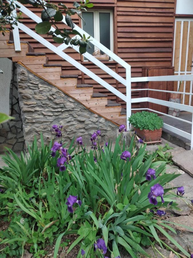 Bed and Breakfast Lo Scoiattolo Giaveno Exterior foto